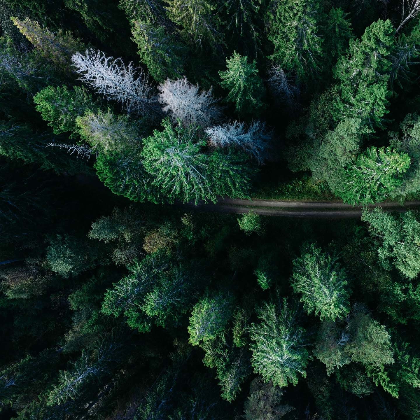 Photo by Geran de Klerk